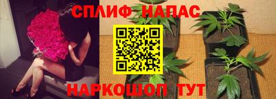 не бодяженный Краснознаменск